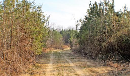 Photo of UNDER CONTRACT!  22.65 Acres of Recreational Land For Sale in Nottoway County VA!