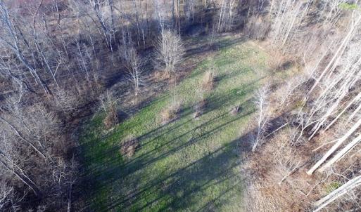Photo of SOLD!  43 Acres of Recreational Land For Sale in Nottoway County VA!