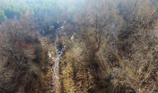 Photo of SOLD!  43 Acres of Recreational Land For Sale in Nottoway County VA!