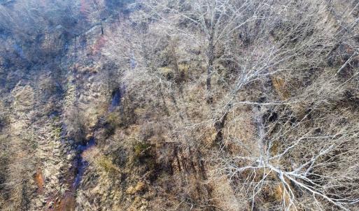 Photo of SOLD!  43 Acres of Recreational Land For Sale in Nottoway County VA!