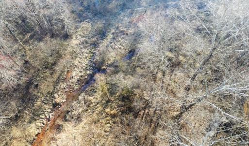 Photo of SOLD!  43 Acres of Recreational Land For Sale in Nottoway County VA!