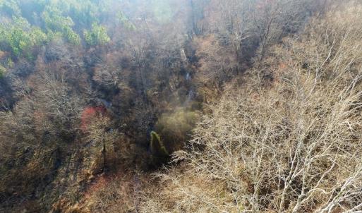 Photo of SOLD!  43 Acres of Recreational Land For Sale in Nottoway County VA!