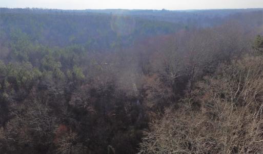 Photo of SOLD!  43 Acres of Recreational Land For Sale in Nottoway County VA!