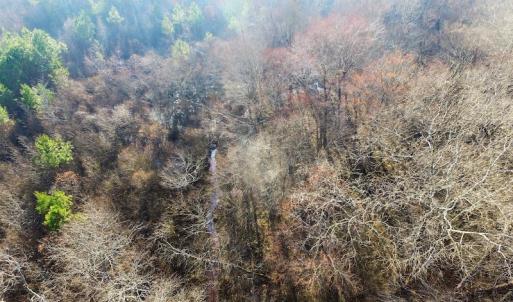 Photo of SOLD!  43 Acres of Recreational Land For Sale in Nottoway County VA!