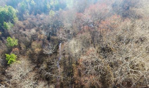 Photo of SOLD!  43 Acres of Recreational Land For Sale in Nottoway County VA!