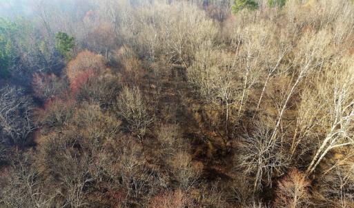 Photo of SOLD!  43 Acres of Recreational Land For Sale in Nottoway County VA!