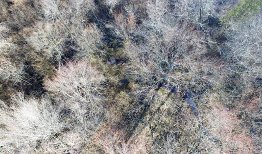 Photo of SOLD!  43 Acres of Recreational Land For Sale in Nottoway County VA!