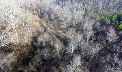 Photo of SOLD!  43 Acres of Recreational Land For Sale in Nottoway County VA!