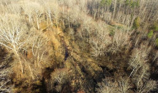 Photo of SOLD!  43 Acres of Recreational Land For Sale in Nottoway County VA!