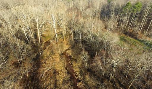 Photo of SOLD!  43 Acres of Recreational Land For Sale in Nottoway County VA!