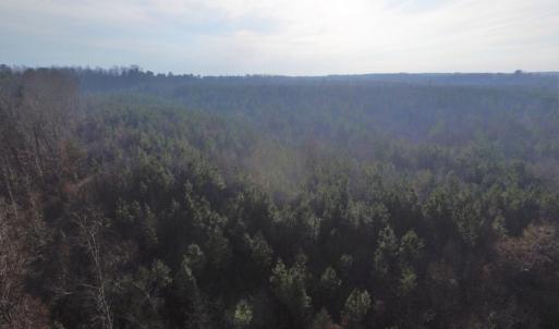 Photo of SOLD!  43 Acres of Recreational Land For Sale in Nottoway County VA!