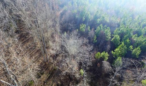 Photo of SOLD!  43 Acres of Recreational Land For Sale in Nottoway County VA!
