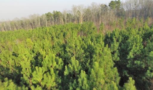 Photo of SOLD!  43 Acres of Recreational Land For Sale in Nottoway County VA!
