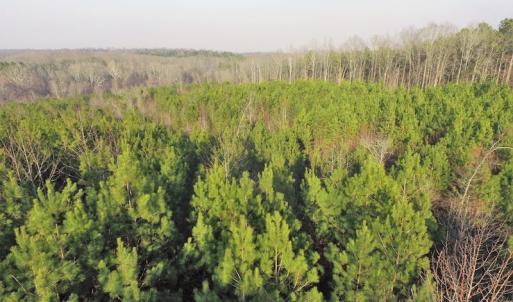 Photo of SOLD!  43 Acres of Recreational Land For Sale in Nottoway County VA!