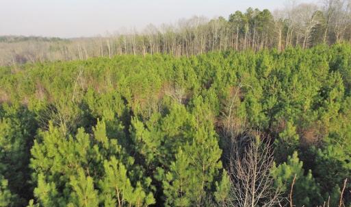 Photo of SOLD!  43 Acres of Recreational Land For Sale in Nottoway County VA!