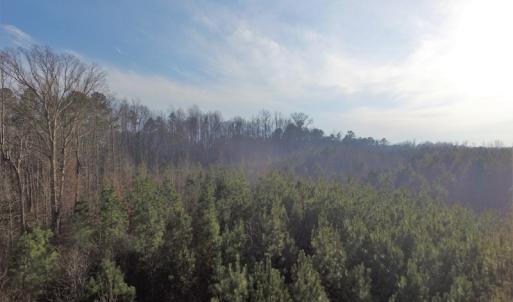 Photo of SOLD!  43 Acres of Recreational Land For Sale in Nottoway County VA!