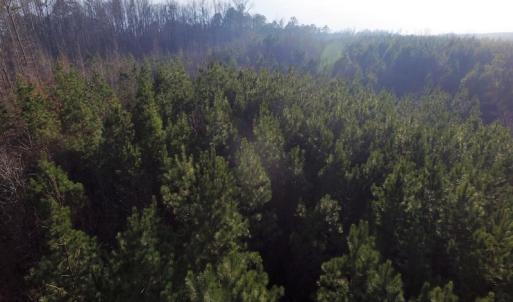 Photo of SOLD!  43 Acres of Recreational Land For Sale in Nottoway County VA!