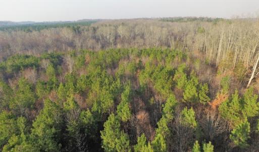 Photo of SOLD!  43 Acres of Recreational Land For Sale in Nottoway County VA!
