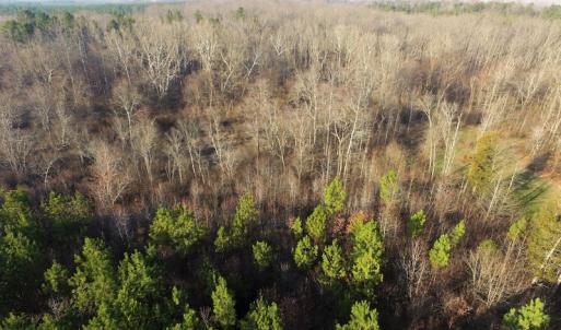 Photo of SOLD!  43 Acres of Recreational Land For Sale in Nottoway County VA!