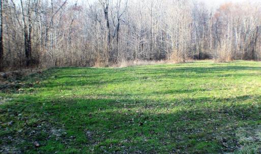 Photo of SOLD!  43 Acres of Recreational Land For Sale in Nottoway County VA!