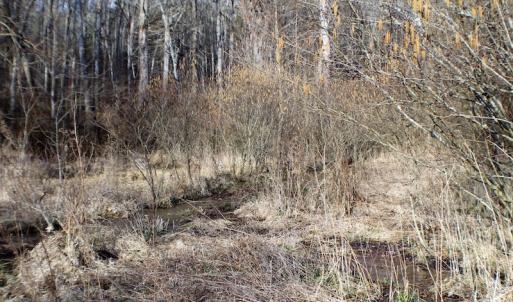 Photo of SOLD!  43 Acres of Recreational Land For Sale in Nottoway County VA!