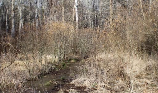 Photo of SOLD!  43 Acres of Recreational Land For Sale in Nottoway County VA!