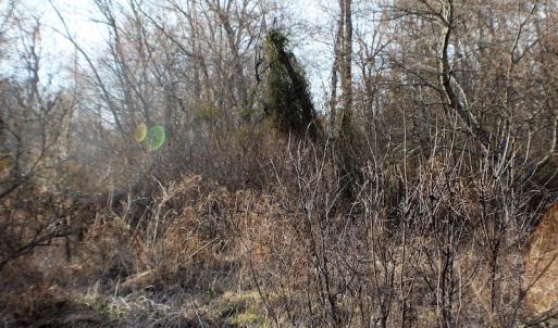 Photo of SOLD!  43 Acres of Recreational Land For Sale in Nottoway County VA!