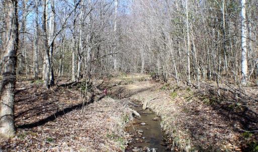 Photo of UNDER CONTRACT!  23.9 Acres of Recreational Land For Sale in Goochland Co VA!