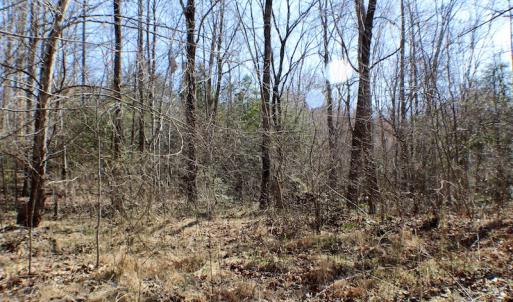 Photo of UNDER CONTRACT!  23.9 Acres of Recreational Land For Sale in Goochland Co VA!