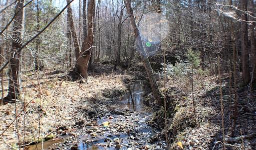 Photo of UNDER CONTRACT!  23.9 Acres of Recreational Land For Sale in Goochland Co VA!
