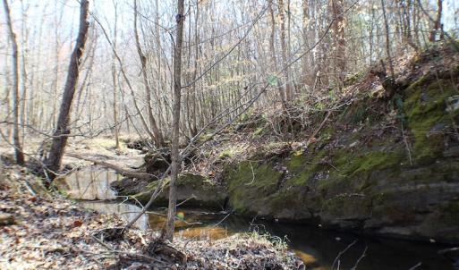 Photo of UNDER CONTRACT!  23.9 Acres of Recreational Land For Sale in Goochland Co VA!