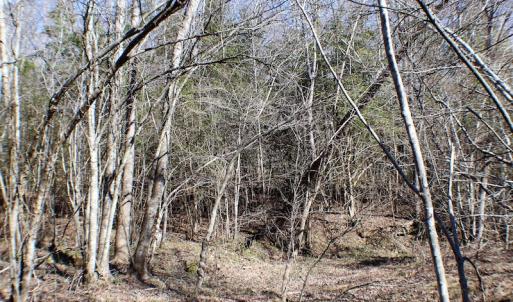 Photo of UNDER CONTRACT!  23.9 Acres of Recreational Land For Sale in Goochland Co VA!