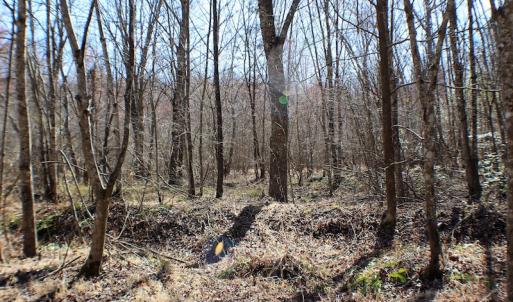 Photo of UNDER CONTRACT!  23.9 Acres of Recreational Land For Sale in Goochland Co VA!