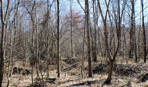 Photo of UNDER CONTRACT!  23.9 Acres of Recreational Land For Sale in Goochland Co VA!