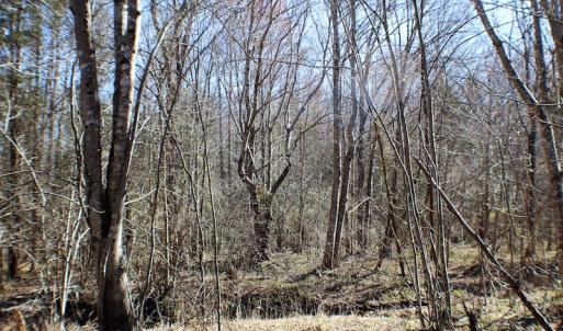 Photo of UNDER CONTRACT!  23.9 Acres of Recreational Land For Sale in Goochland Co VA!