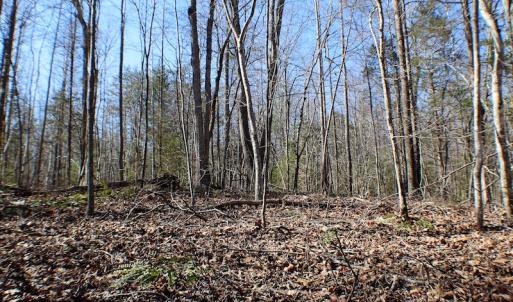 Photo of UNDER CONTRACT!  23.9 Acres of Recreational Land For Sale in Goochland Co VA!