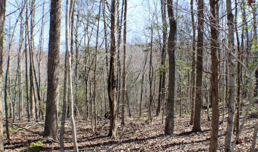 Photo of UNDER CONTRACT!  23.9 Acres of Recreational Land For Sale in Goochland Co VA!