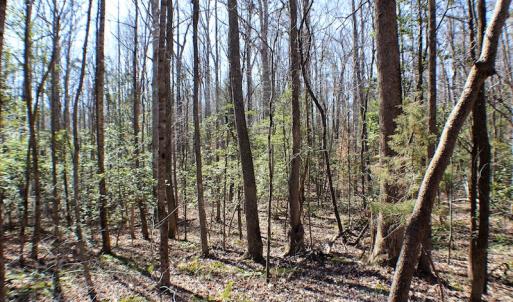 Photo of UNDER CONTRACT!  23.9 Acres of Recreational Land For Sale in Goochland Co VA!
