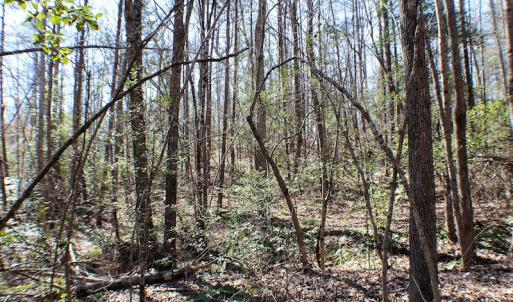 Photo of UNDER CONTRACT!  23.9 Acres of Recreational Land For Sale in Goochland Co VA!