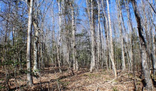 Photo of UNDER CONTRACT!  23.9 Acres of Recreational Land For Sale in Goochland Co VA!