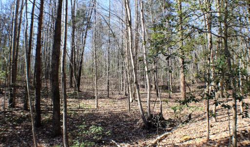 Photo of UNDER CONTRACT!  23.9 Acres of Recreational Land For Sale in Goochland Co VA!