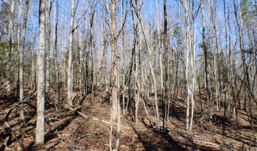 Photo of UNDER CONTRACT!  23.9 Acres of Recreational Land For Sale in Goochland Co VA!