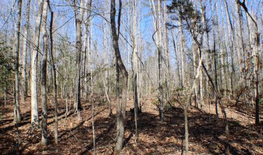 Photo of UNDER CONTRACT!  23.9 Acres of Recreational Land For Sale in Goochland Co VA!