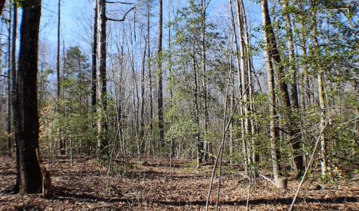 Photo of UNDER CONTRACT!  23.9 Acres of Recreational Land For Sale in Goochland Co VA!