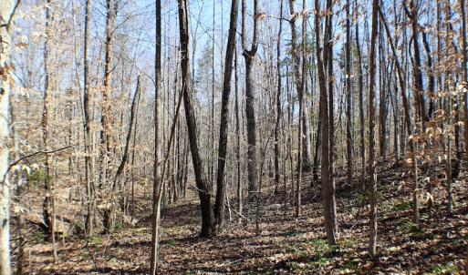 Photo of UNDER CONTRACT!  23.9 Acres of Recreational Land For Sale in Goochland Co VA!