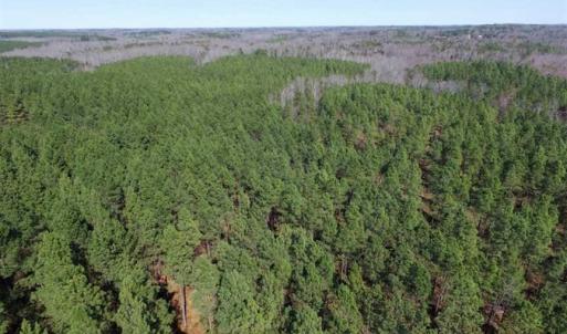 Photo of 45.55 Acres of Recreational Land For Sale in Mecklenburg Co VA!