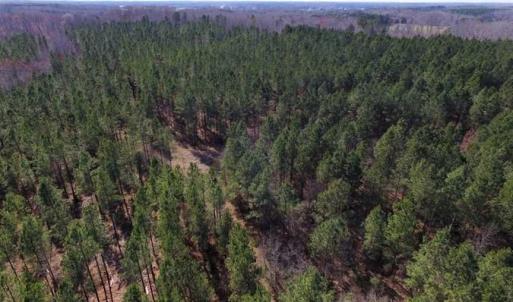 Photo of 45.55 Acres of Recreational Land For Sale in Mecklenburg Co VA!