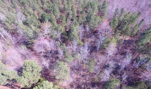 Photo of 45.55 Acres of Recreational Land For Sale in Mecklenburg Co VA!