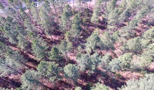 Photo of 45.55 Acres of Recreational Land For Sale in Mecklenburg Co VA!