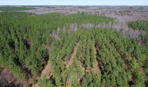 Photo of 45.55 Acres of Recreational Land For Sale in Mecklenburg Co VA!